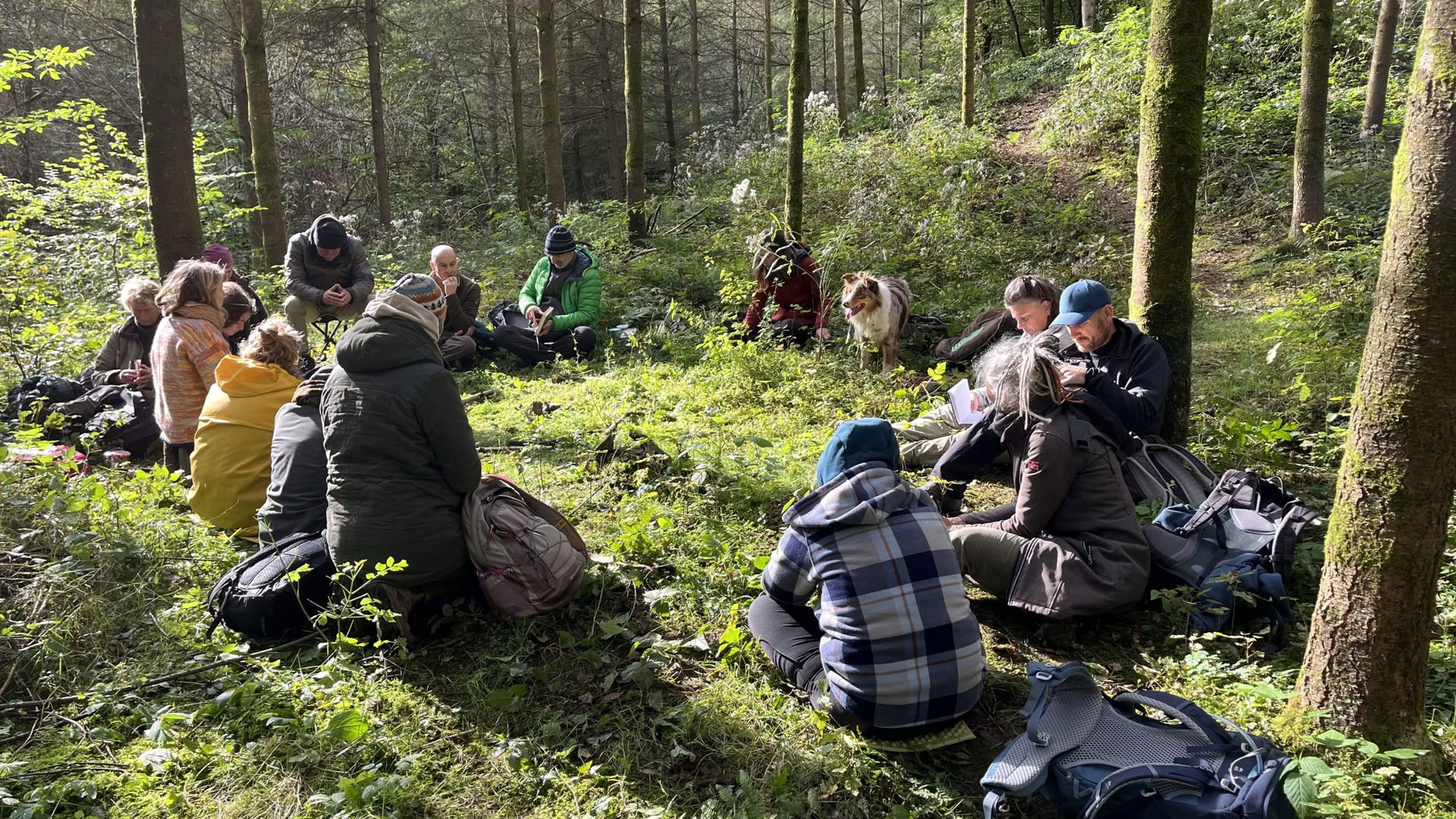 Spejlingskursus for naturvejledere og coaches – 22. til 25. oktober 2026 – DE SIDSTE 2 PLADSER