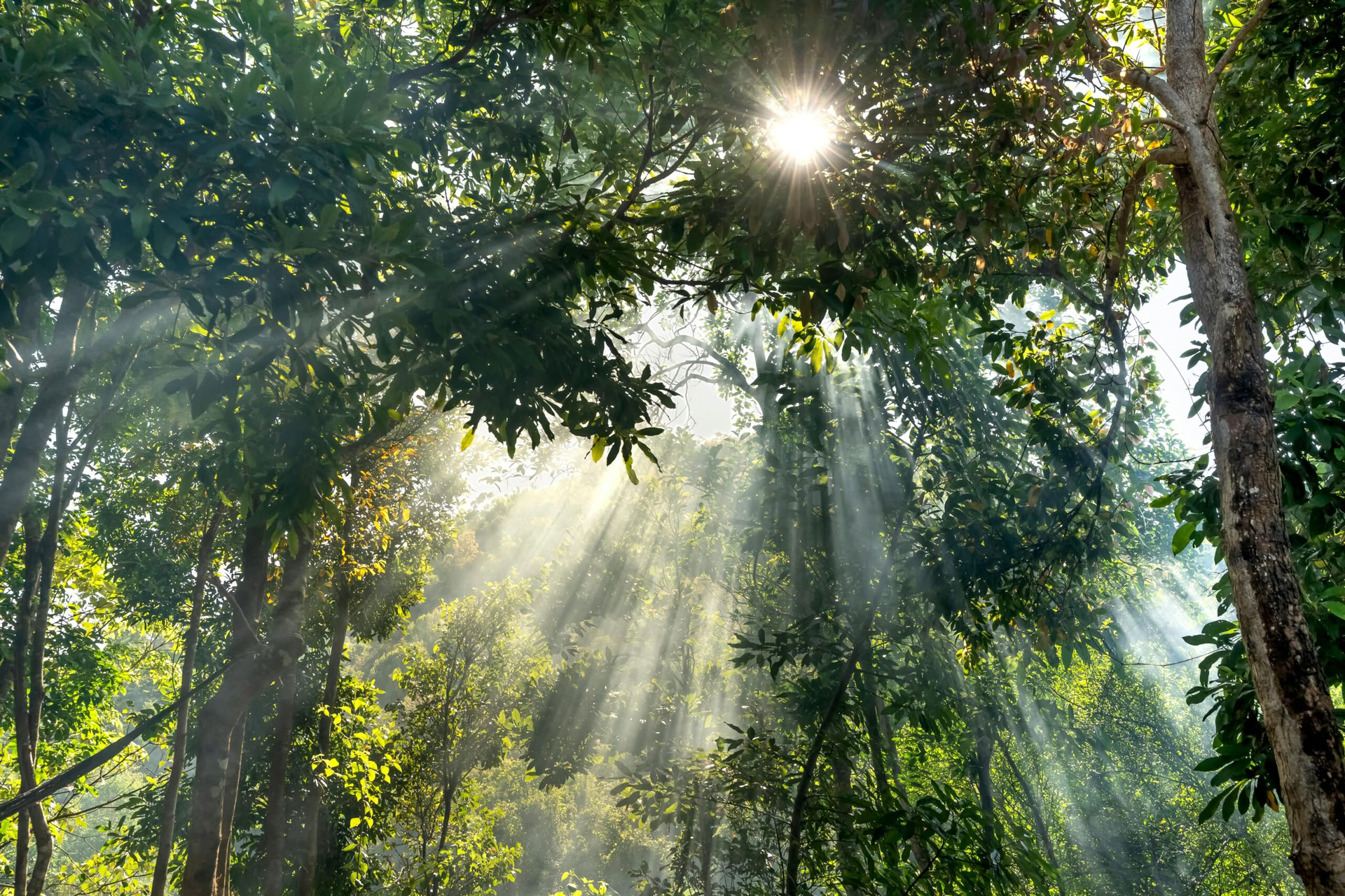 5 dage og 4 nætter mindfulness-rejse