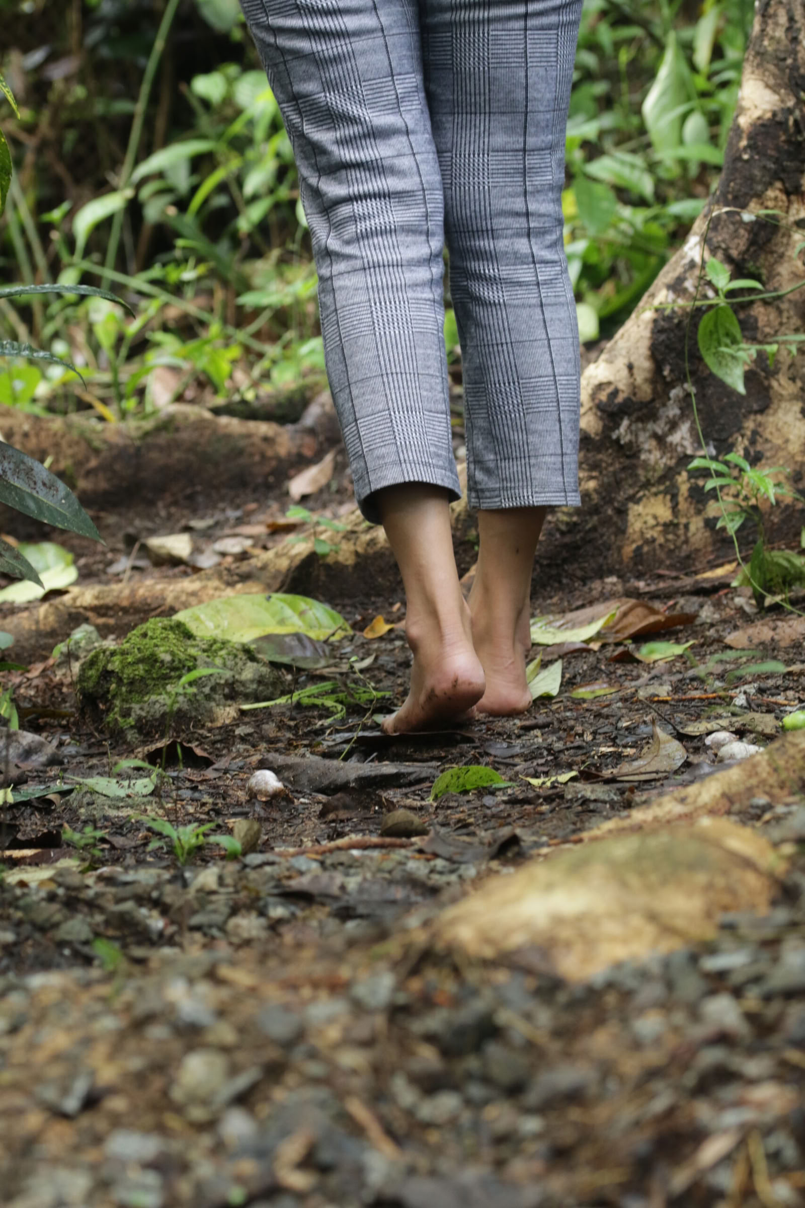 5 dage og 4 nætter mindfulness-rejse