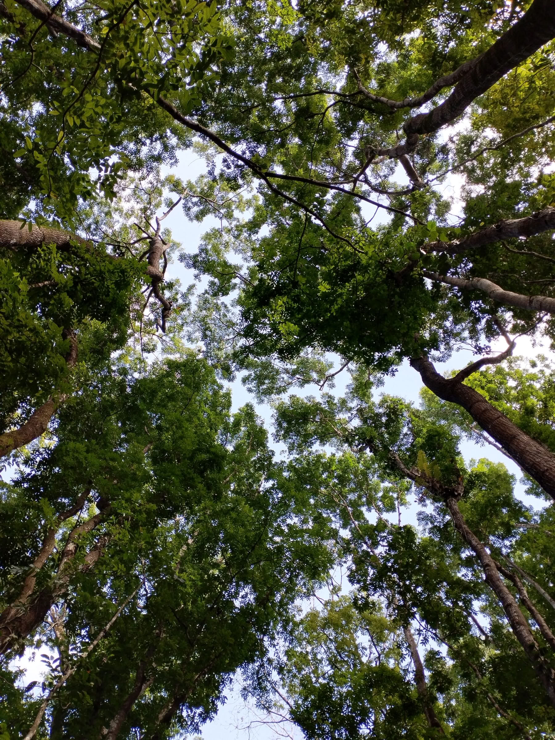 5 dage og 4 nætter mindfulness-rejse
