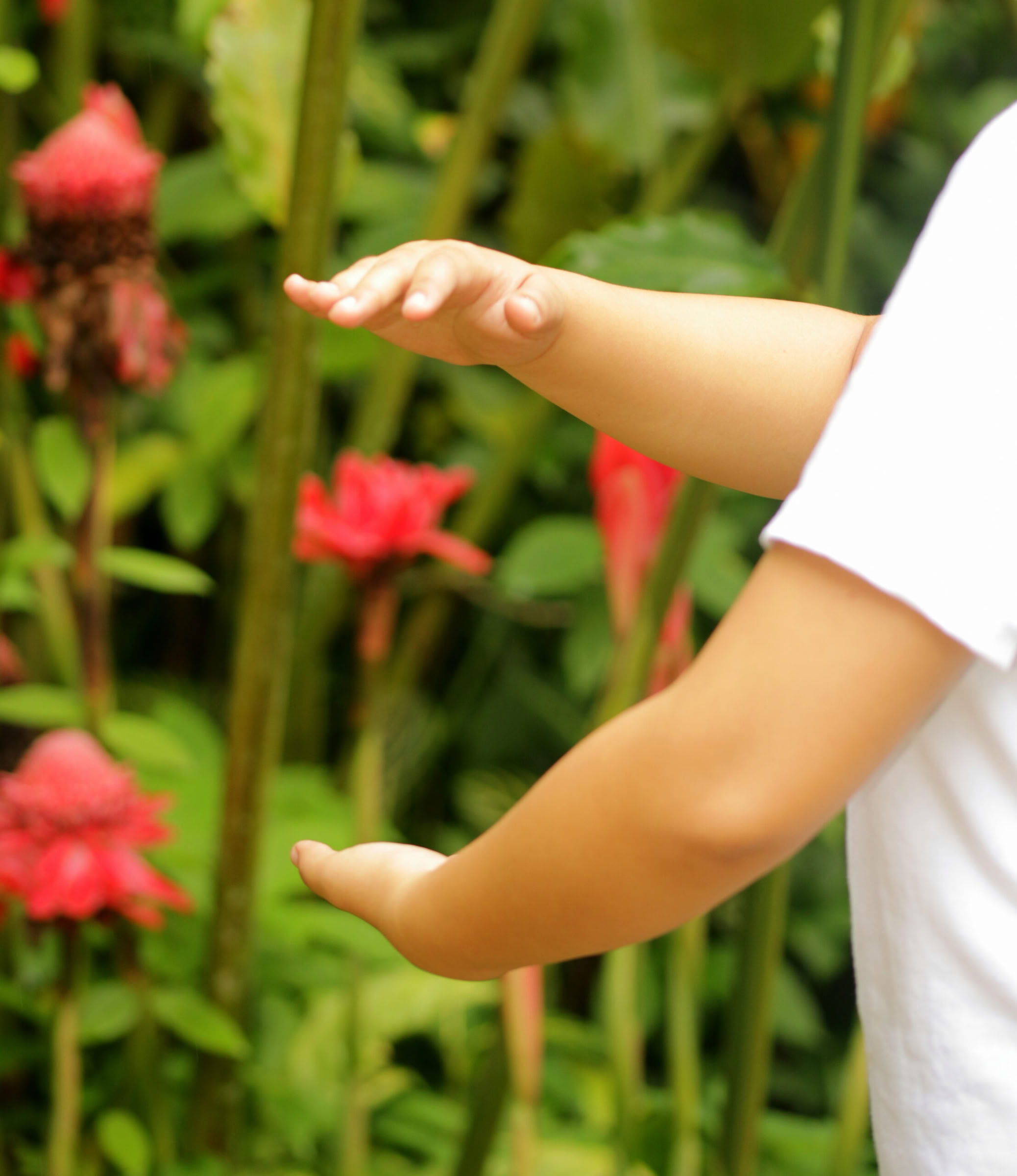 5 dage og 4 nætter mindfulness-rejse