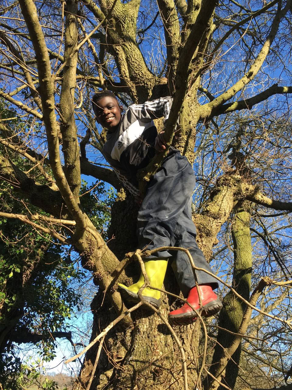 Dagbesøg på landet for Londons folkeskoler