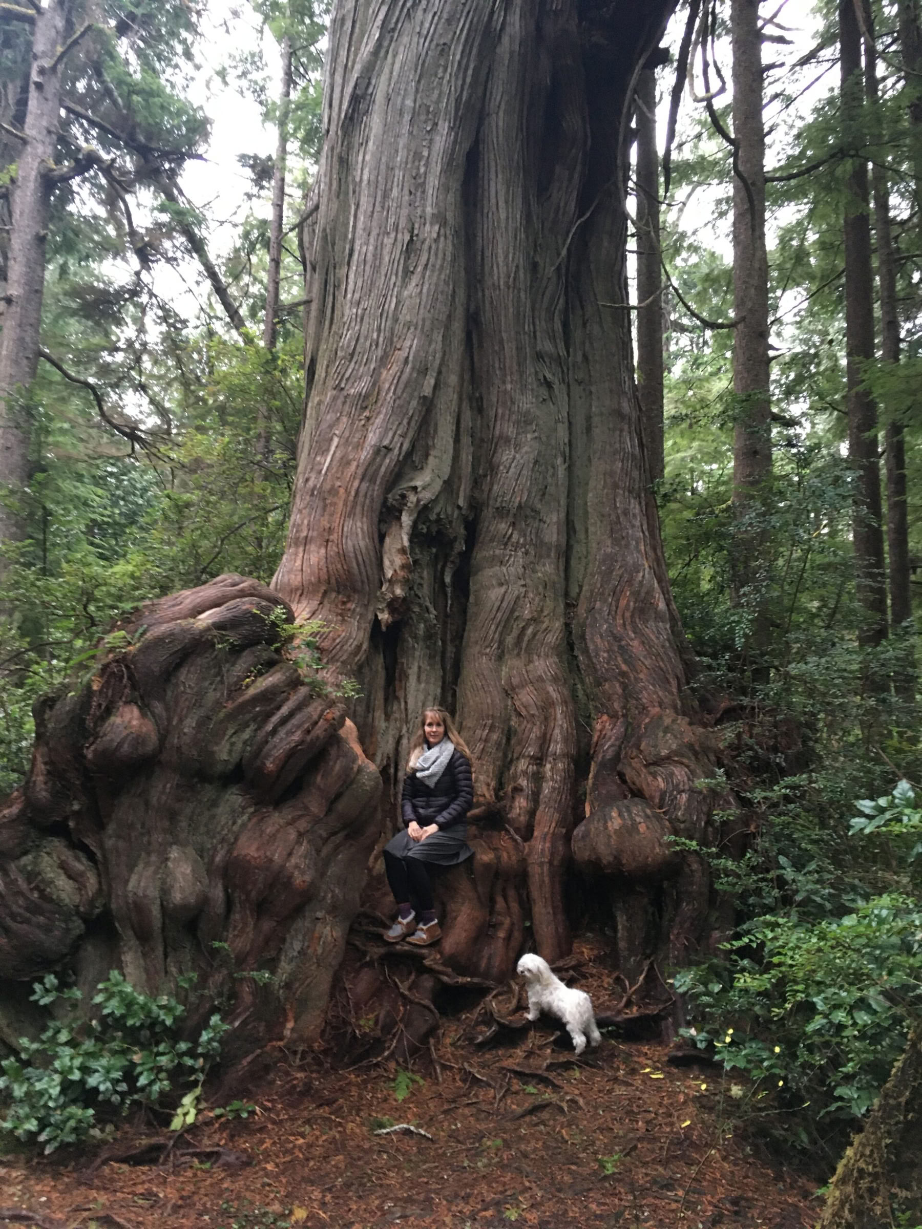 Retreat med skov- og strandbadning i Olympic National Park