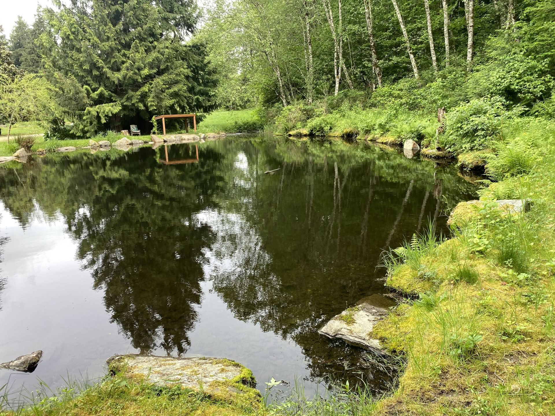 Yoga-, vandre- og helingsretreat ved Fox Creek Falls