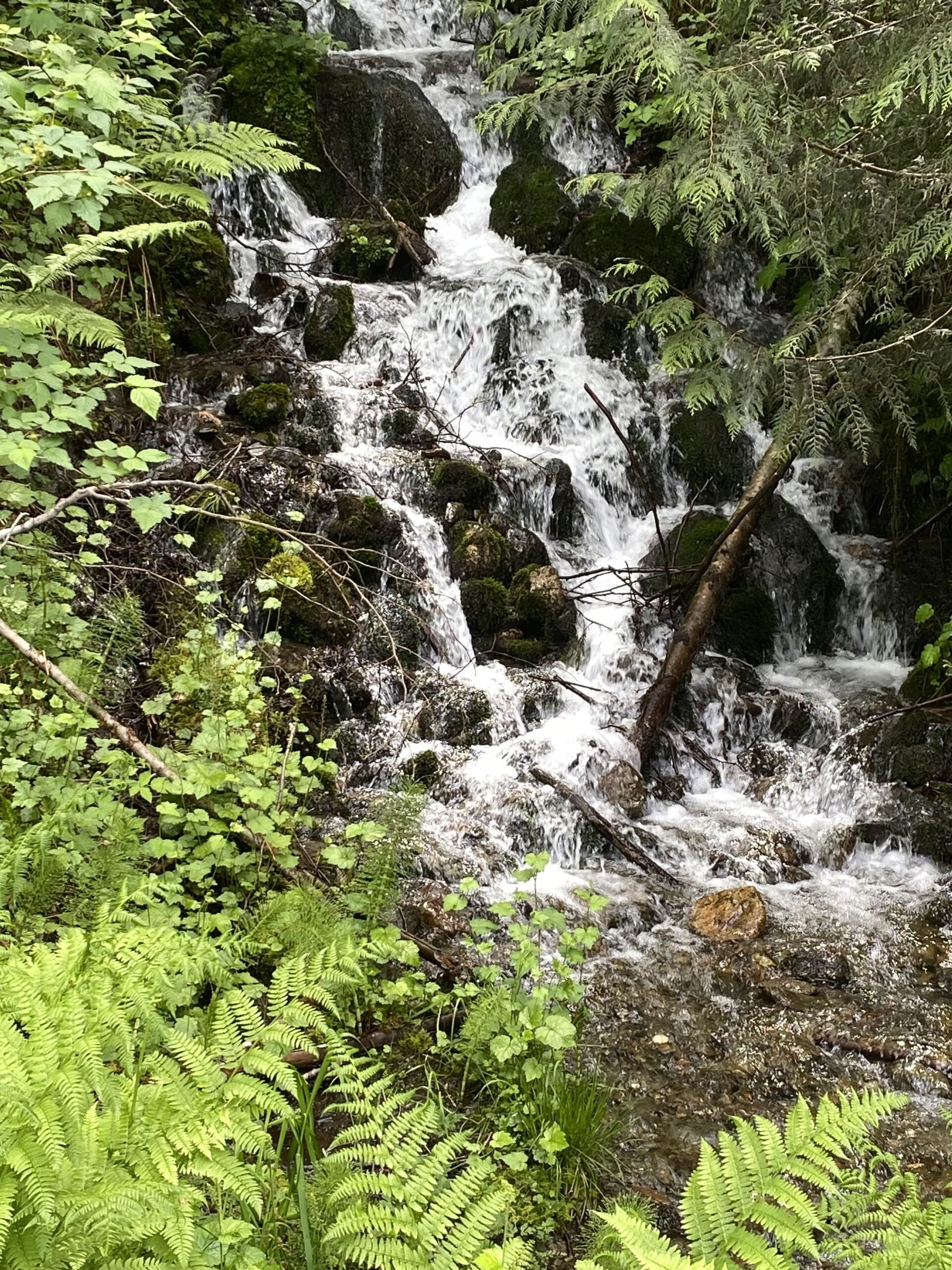 Yoga-, vandre- og helingsretreat ved Fox Creek Falls