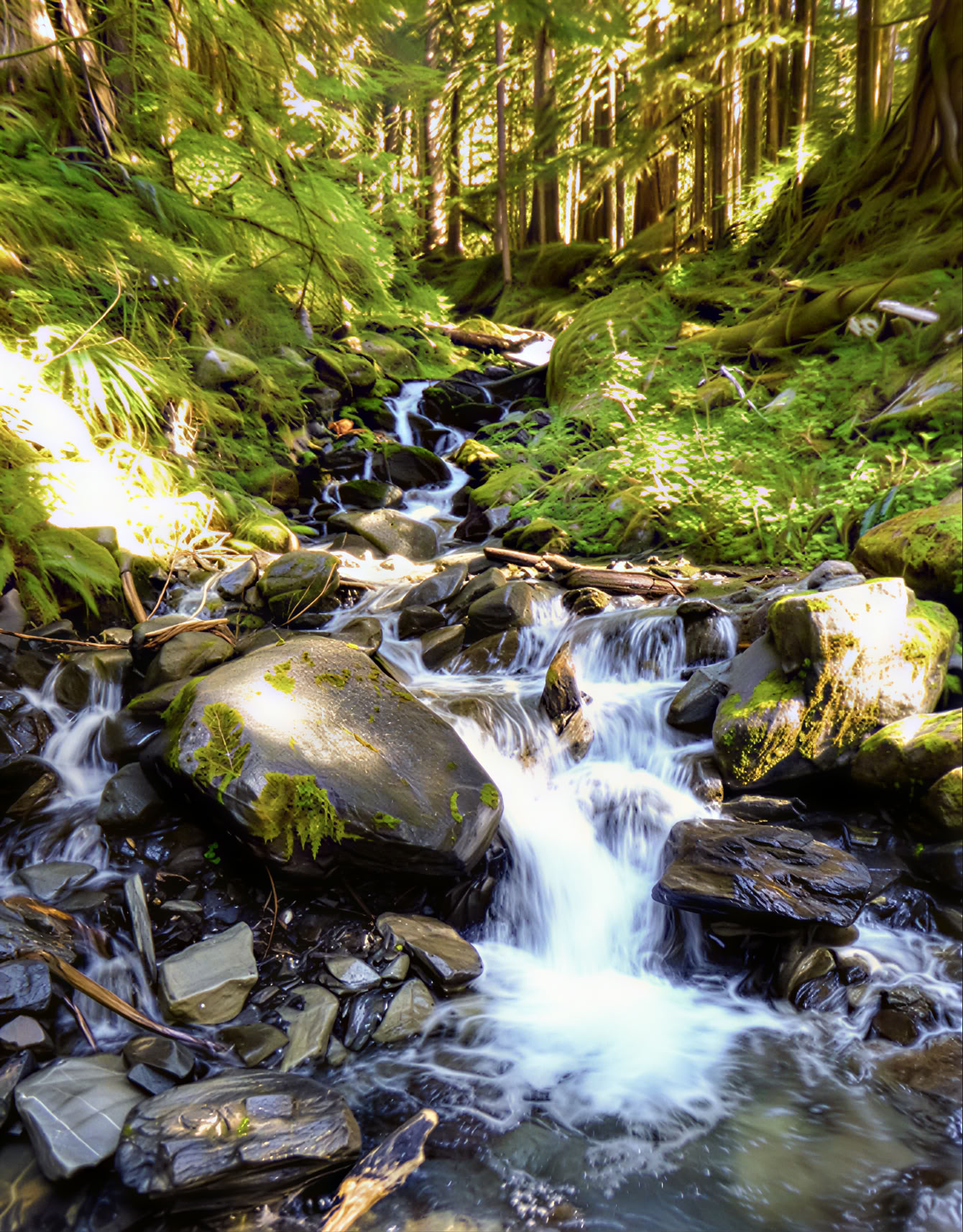 Yoga-, vandre- og helingsretreat ved Fox Creek Falls