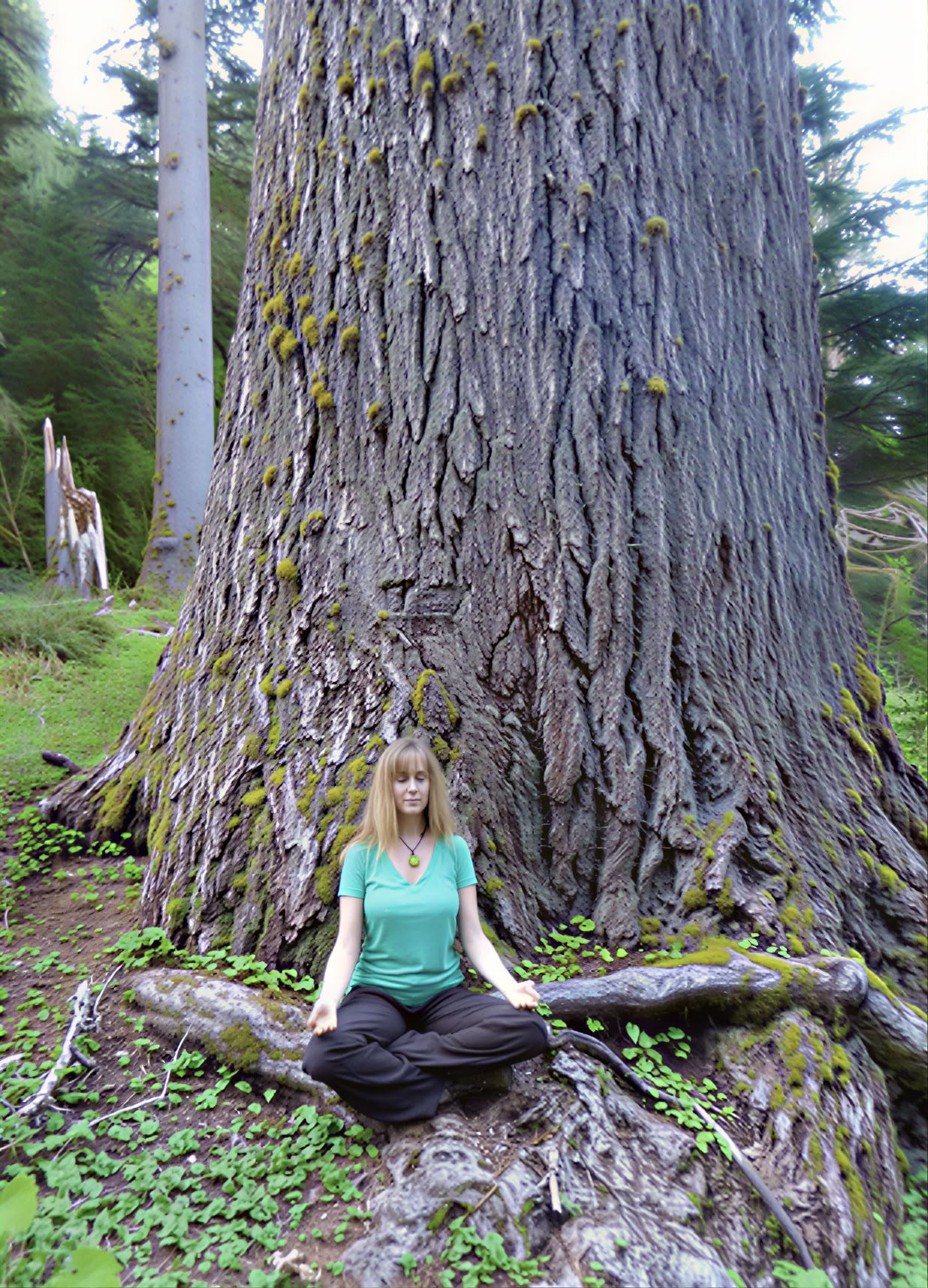 Meditationsvandretur-retreat ved vandfald