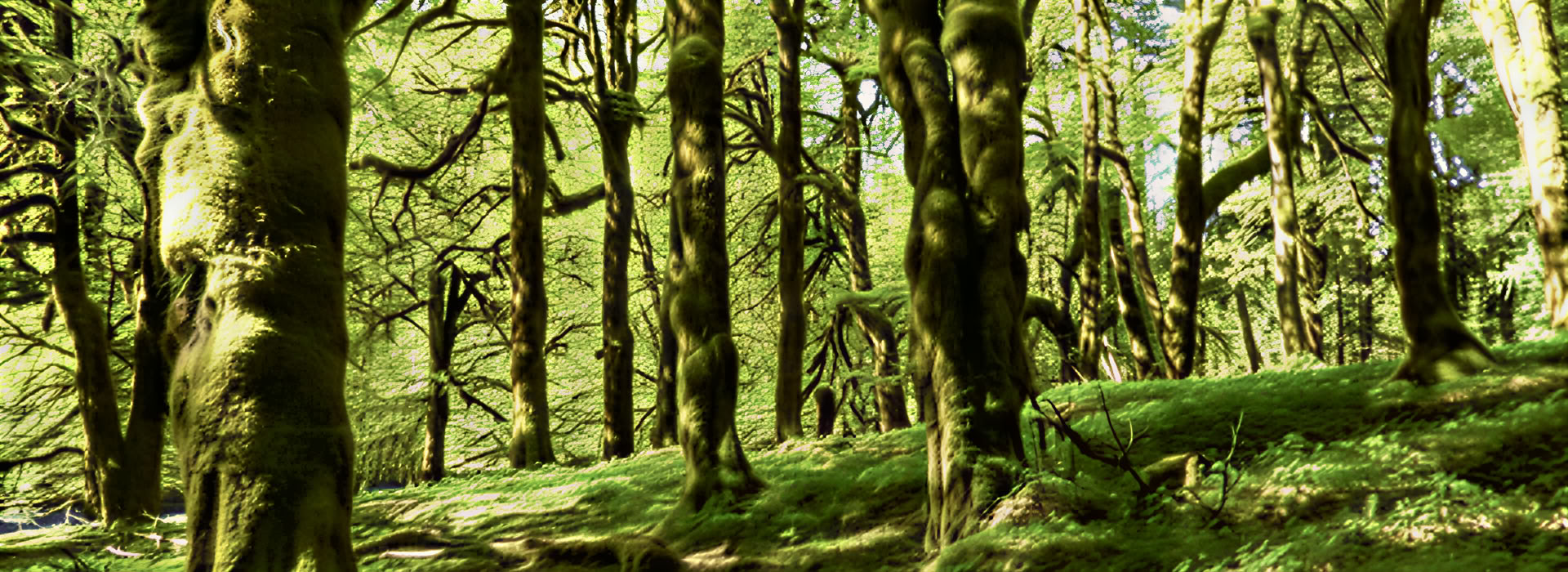 Meditationsvandretur-retreat ved vandfald