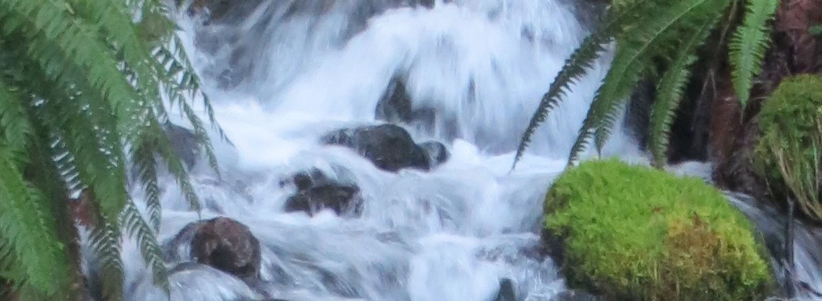 Healing-retreat ved Frog Creek, WA
