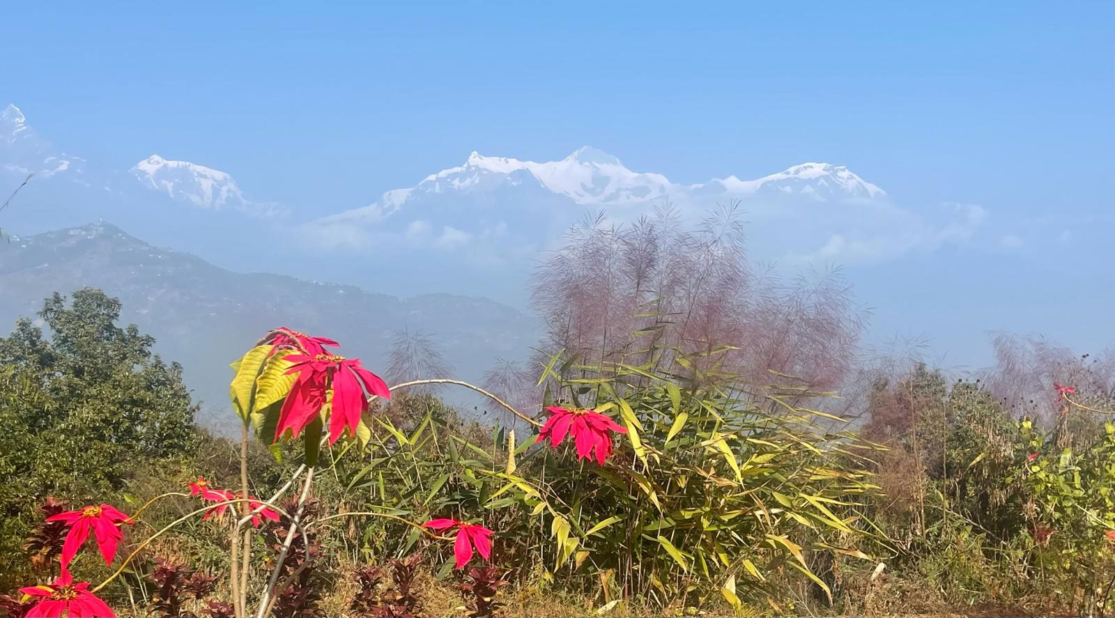 Himalaya helbredelses- og eventyrretreat