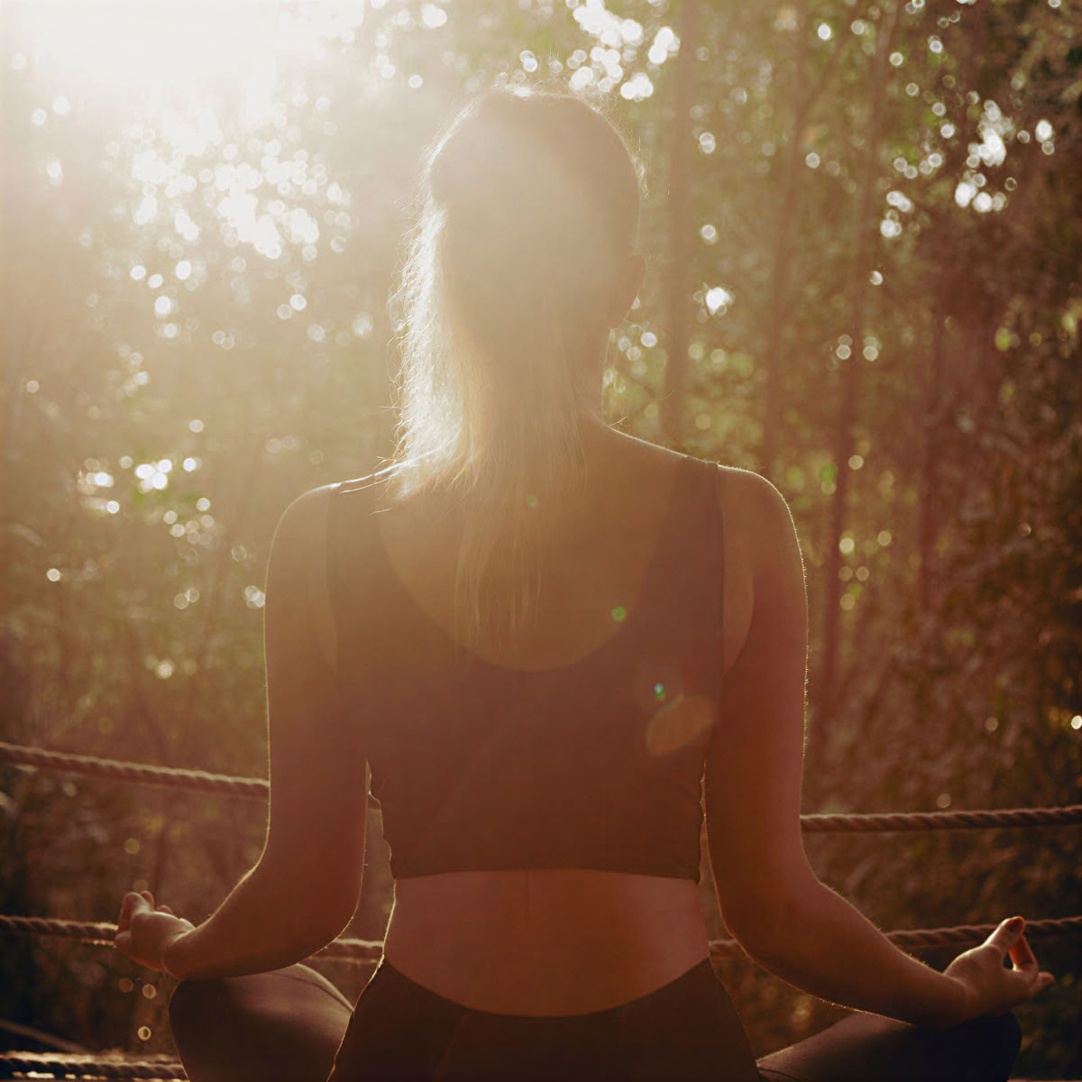 Daglig wellness-klasse