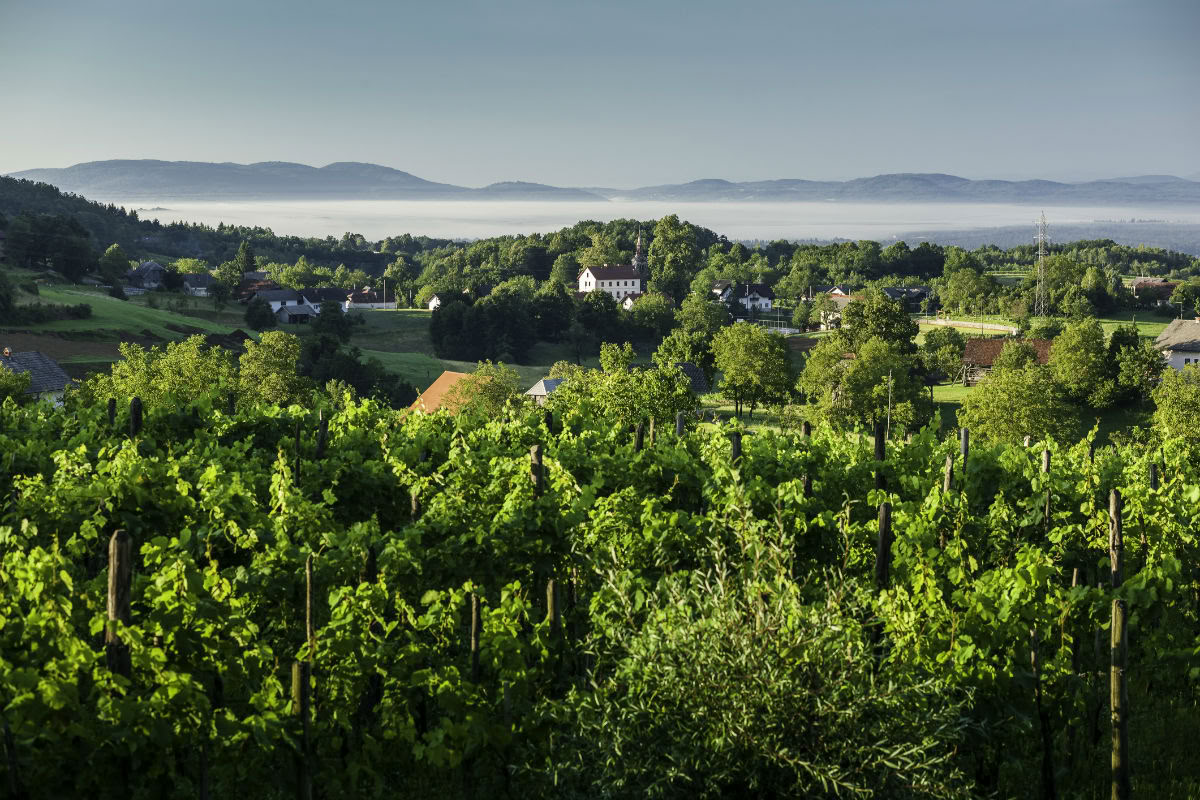 Wellness-ophold i Slovenien