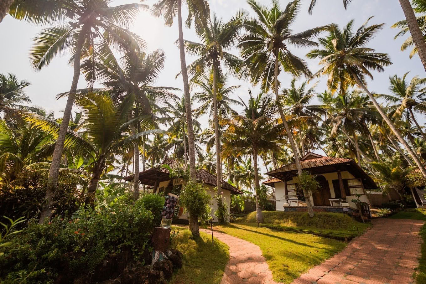 Yoga- og ayurveda-retreat i Indien - 1. september