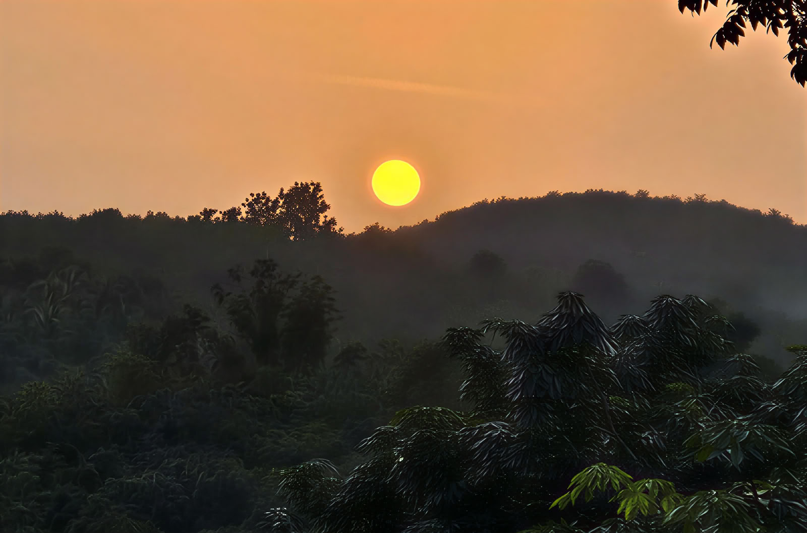 Wellness-retreat i Kerala