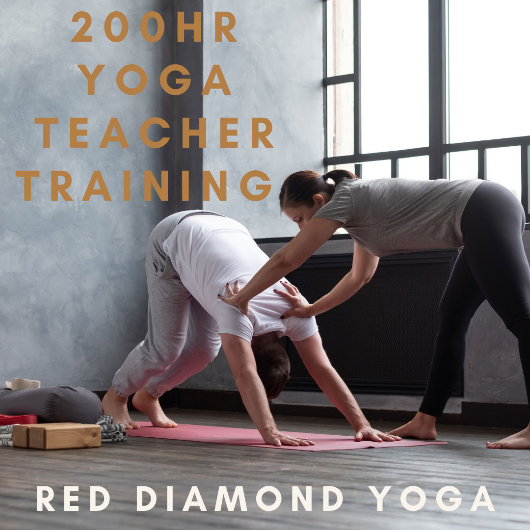 200-timers Vinyasa-læreruddannelse, certificeret af Yoga Alliance