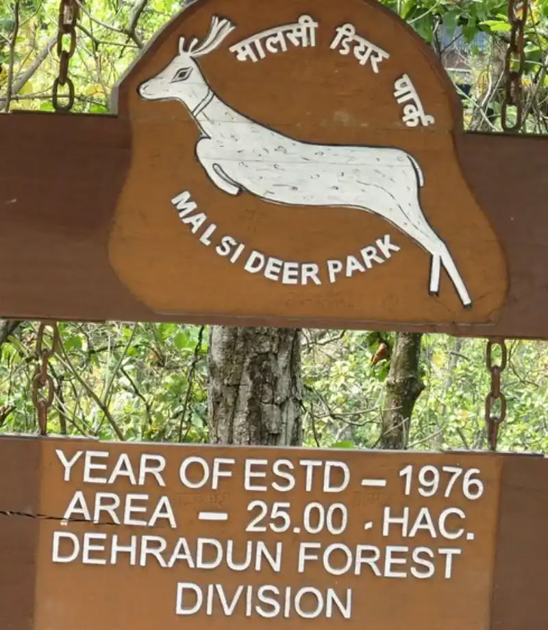 300-timers yogalæreruddannelse i Dehradun