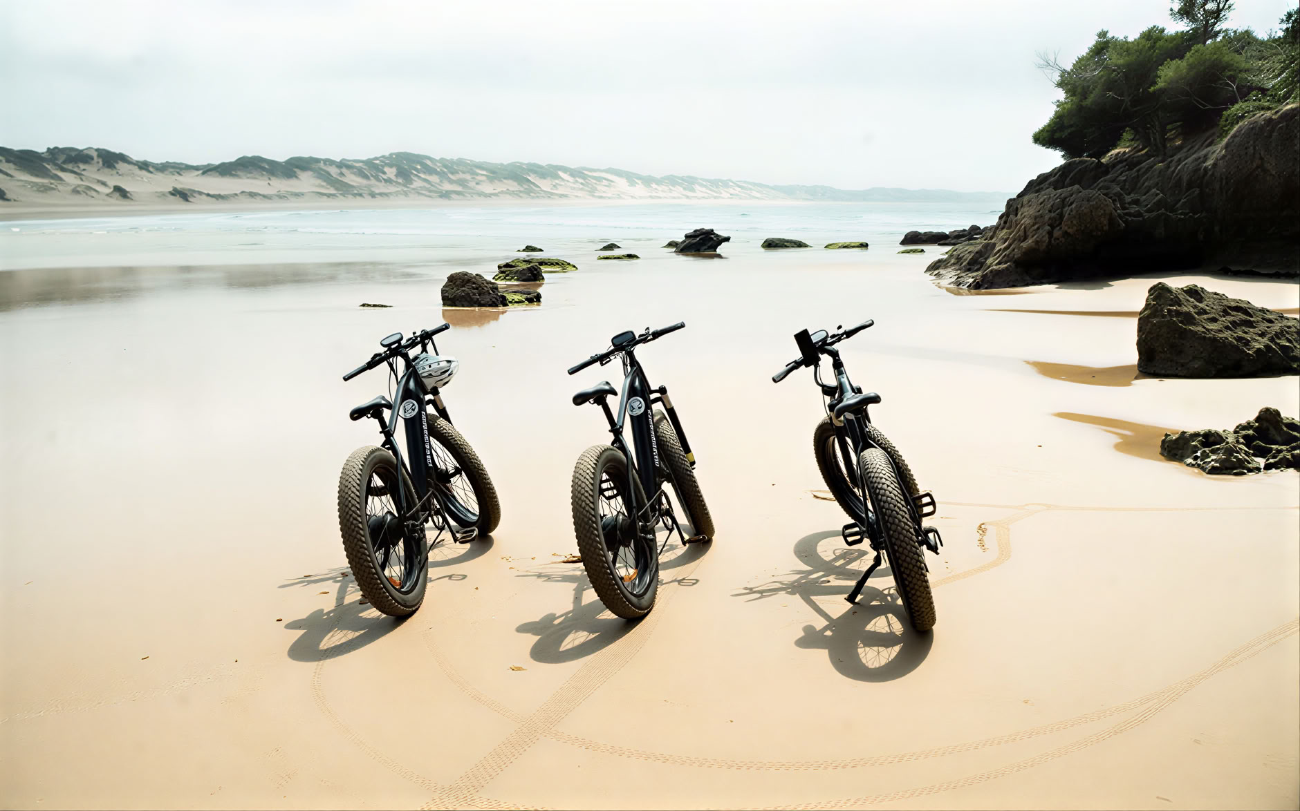 E-cykeltur