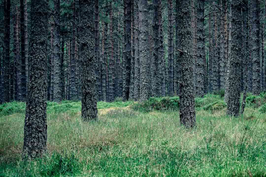 3-dages yoga-retreat i Skotland – 2.–5. oktober