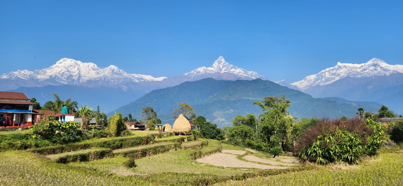 Himalayaudsigt YTTC (5. oktober 2026)