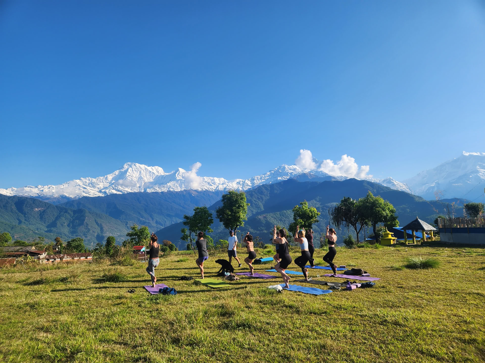 Himalayaudsigt YTTC (5. oktober 2026)