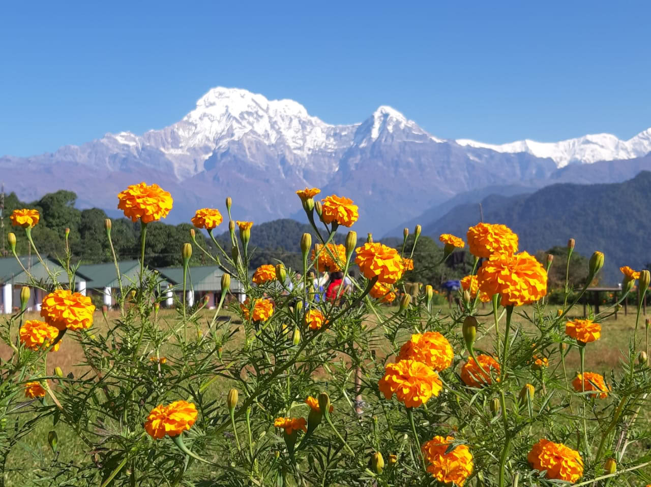 7 dage/6 nætter: Yogaretreat i Astam
