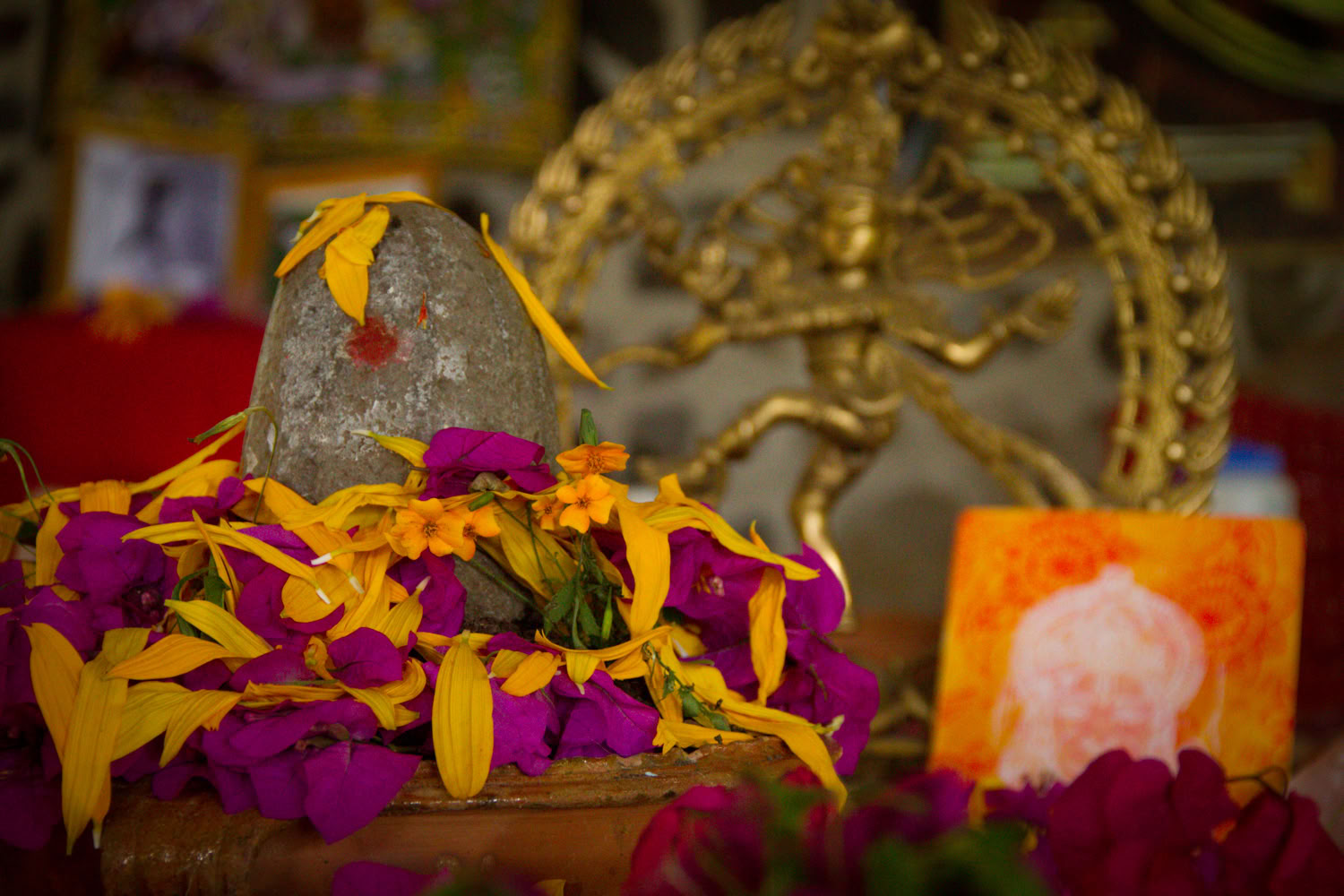 Introduktion til Vipassana