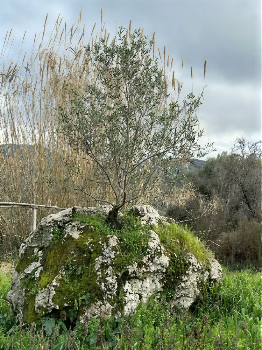 Lej et retreat