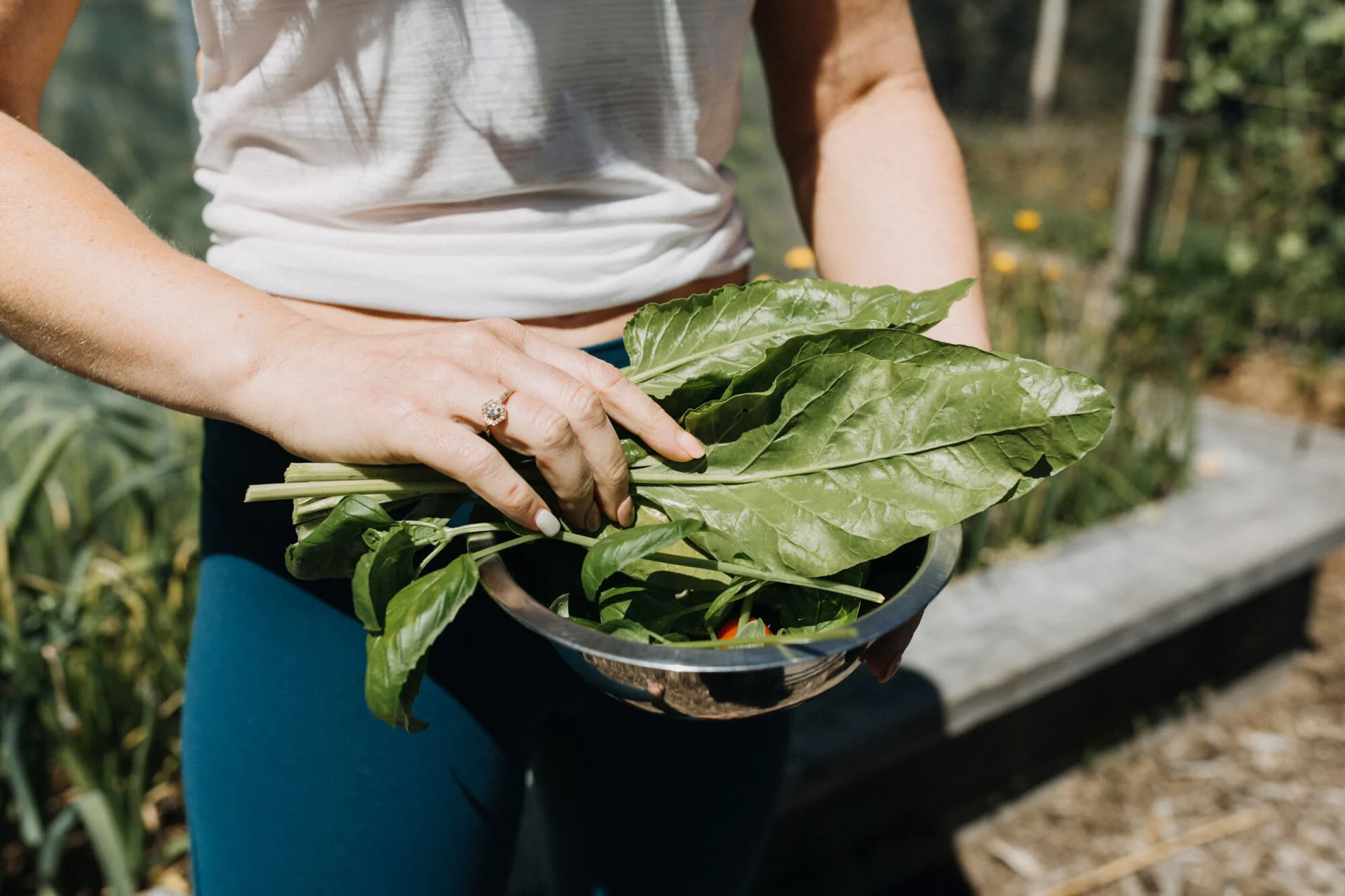 Genforbind med naturen