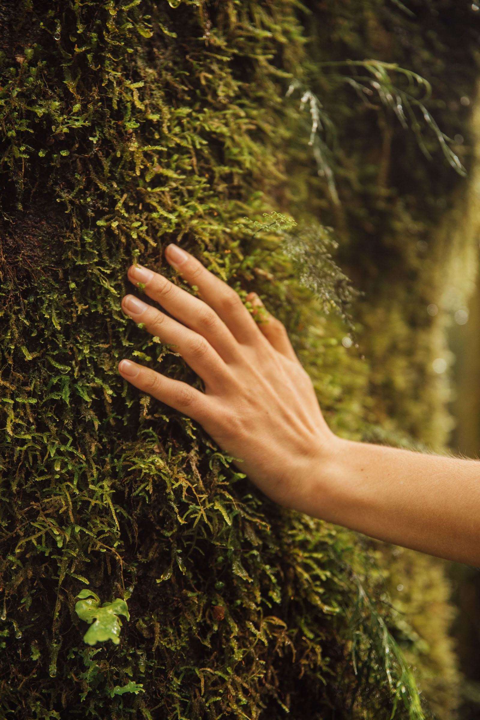 Genforbind med naturen