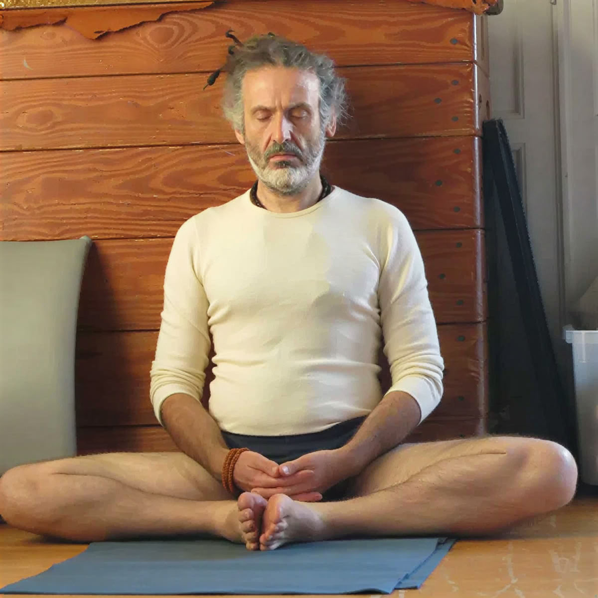 Iyengar-yoga workshop med Christian Pisano