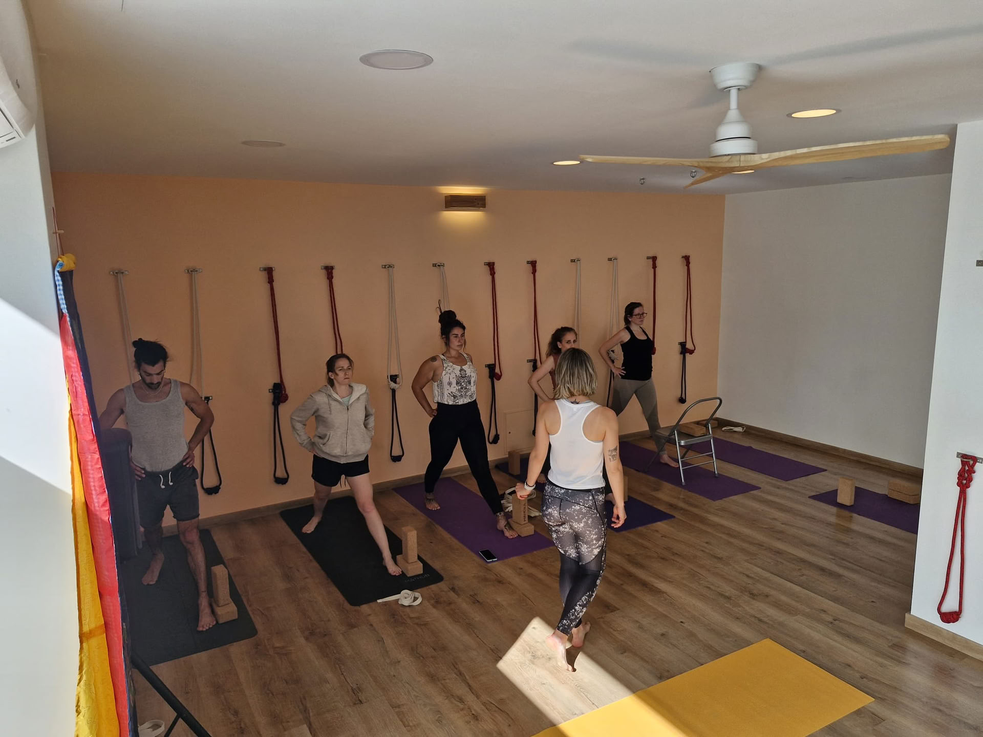 200-timers yogalæreruddannelse niveau I | Iyengar-yoga, Hatha – Kriya og Tantra-yoga