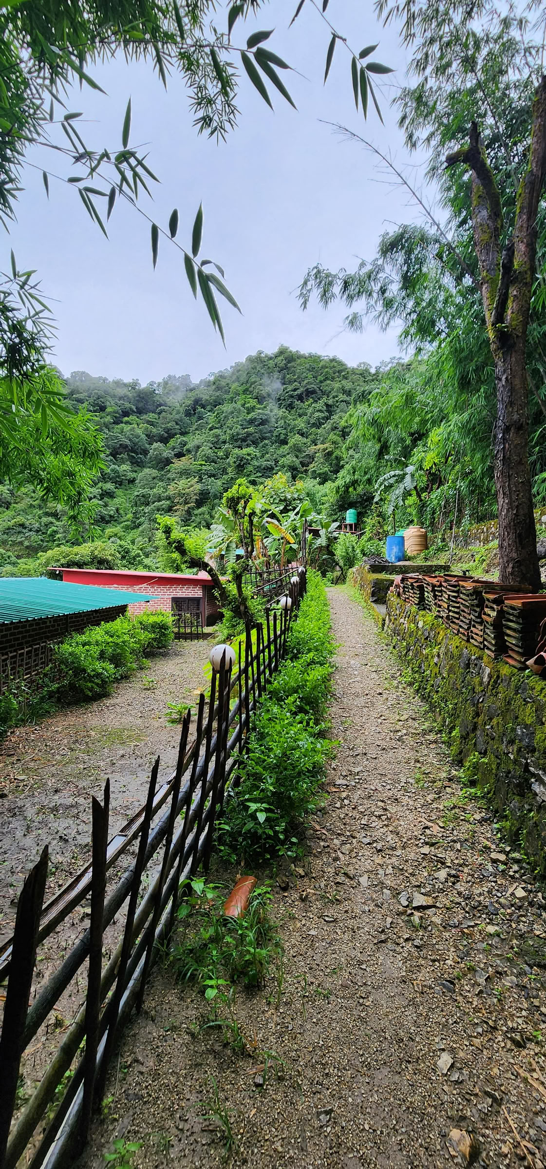 6-dages surrender-retreat i Rishikesh