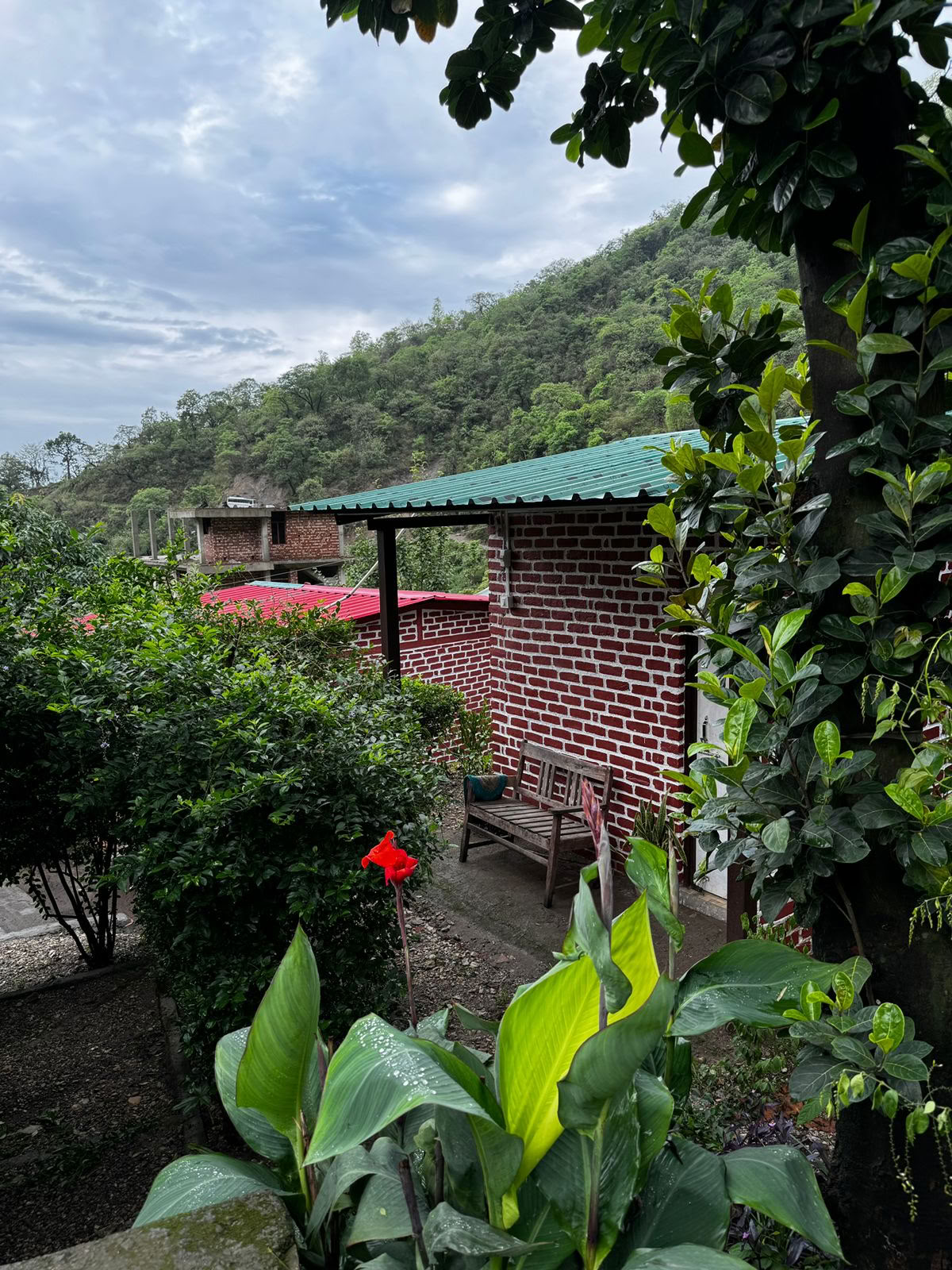 6-dages surrender-retreat i Rishikesh