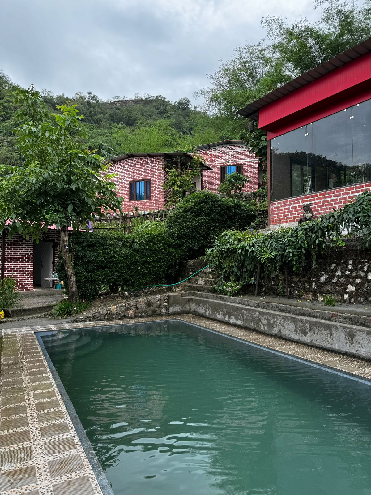 6-dages surrender-retreat i Rishikesh