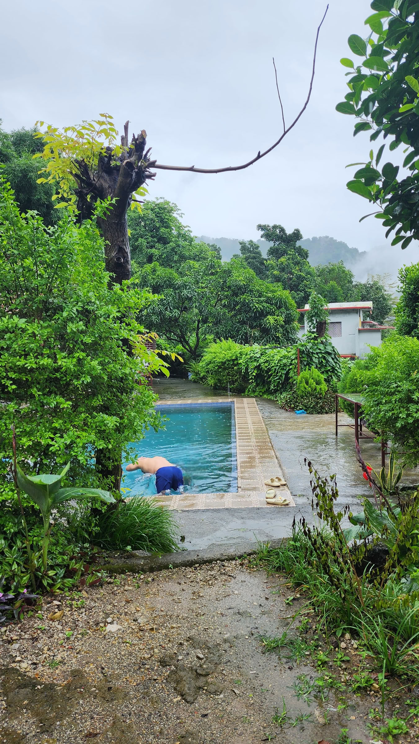 6-dages surrender-retreat i Rishikesh