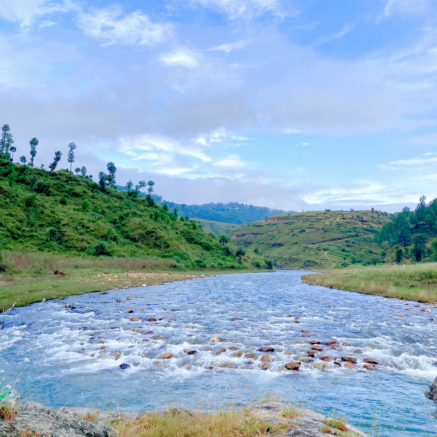 4-dages stilhedsretreat ved floden i Himalaya i Almora