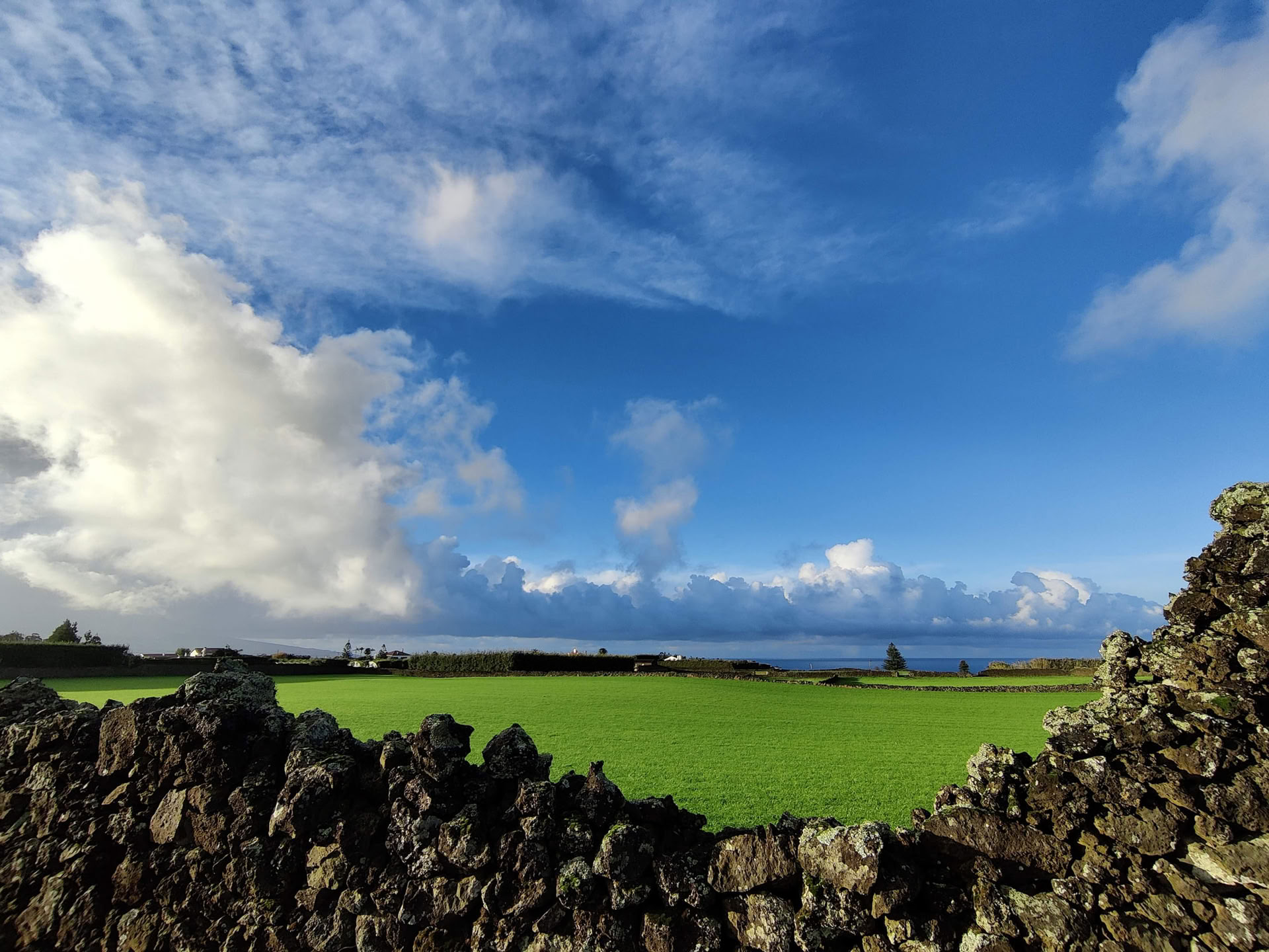 Fordyb dig i MYMINUVIDA - MINUVIDA AZORES