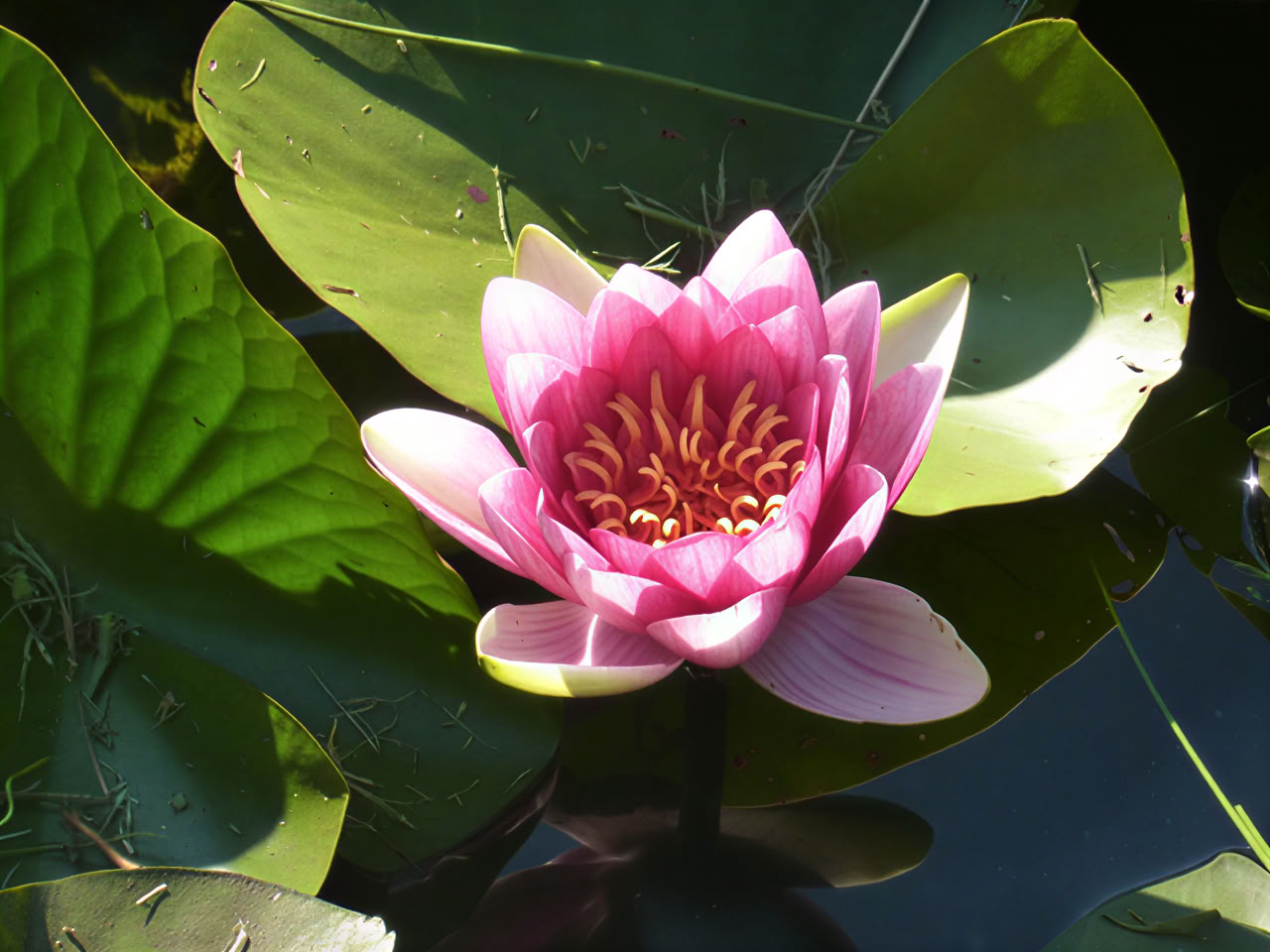 Yoga & mindfulness