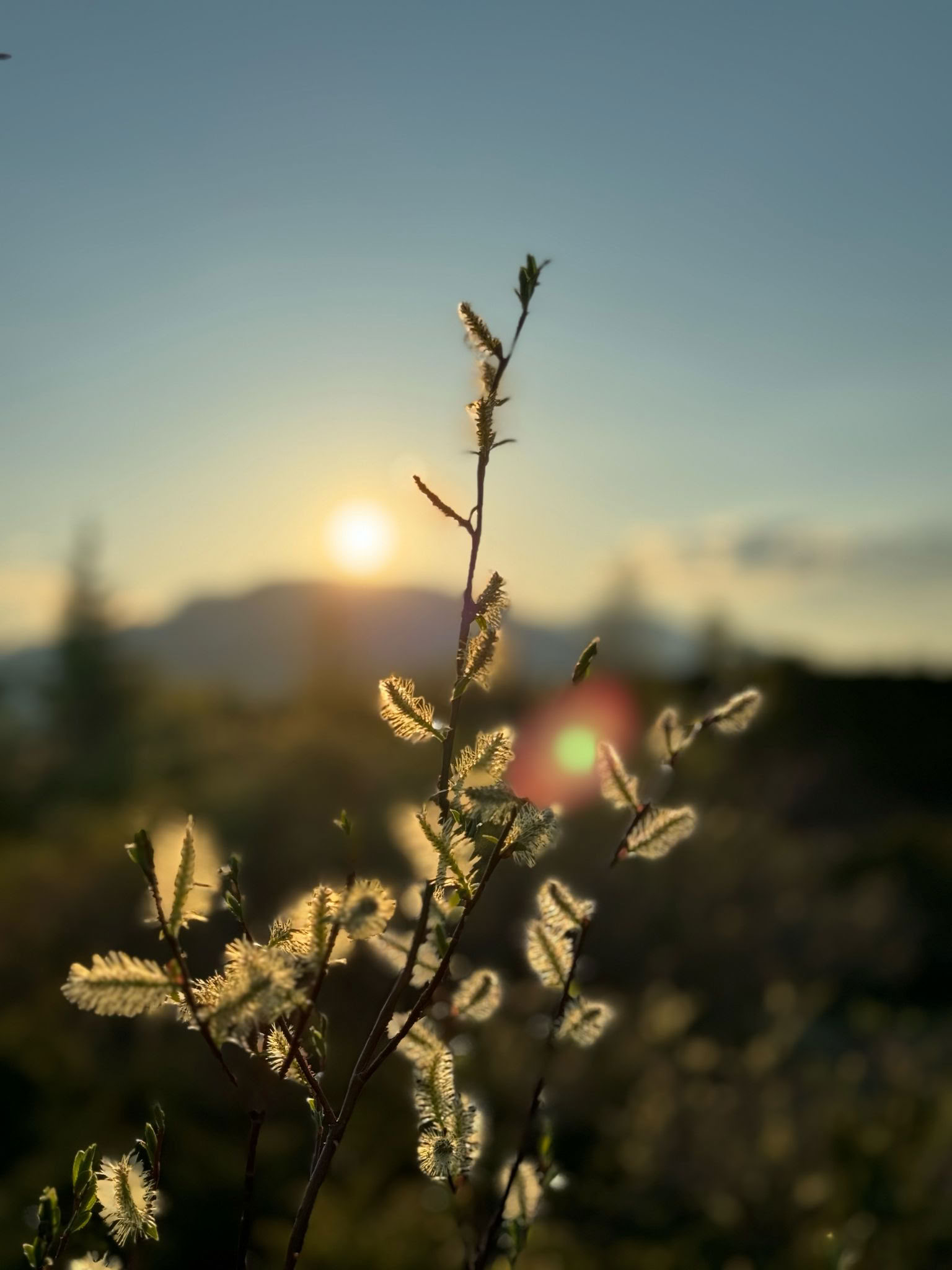 Efterårets åndedrag: et restituerende yogaretreat mod stressaflastning
