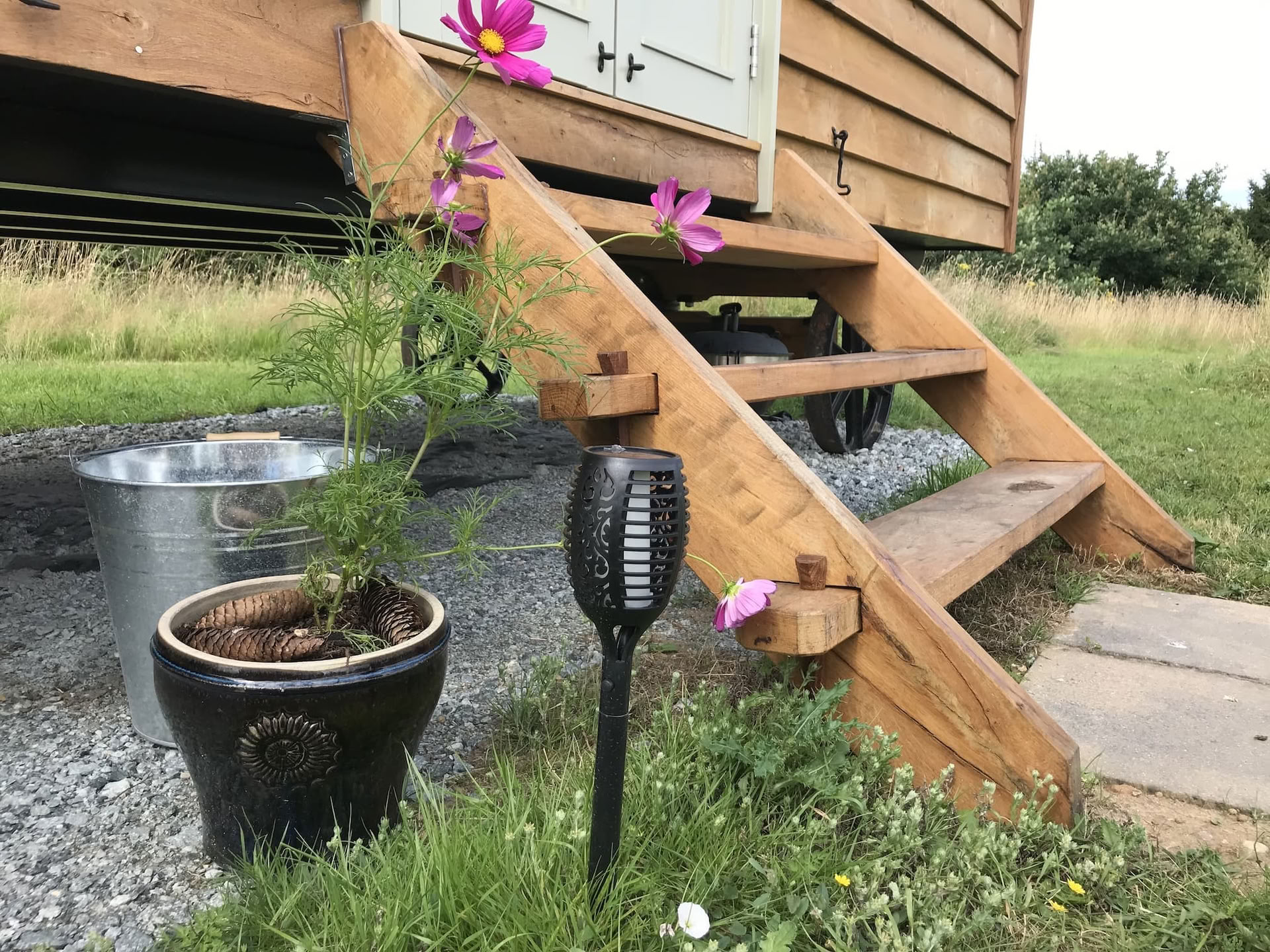 Skole- og gruppebesøg