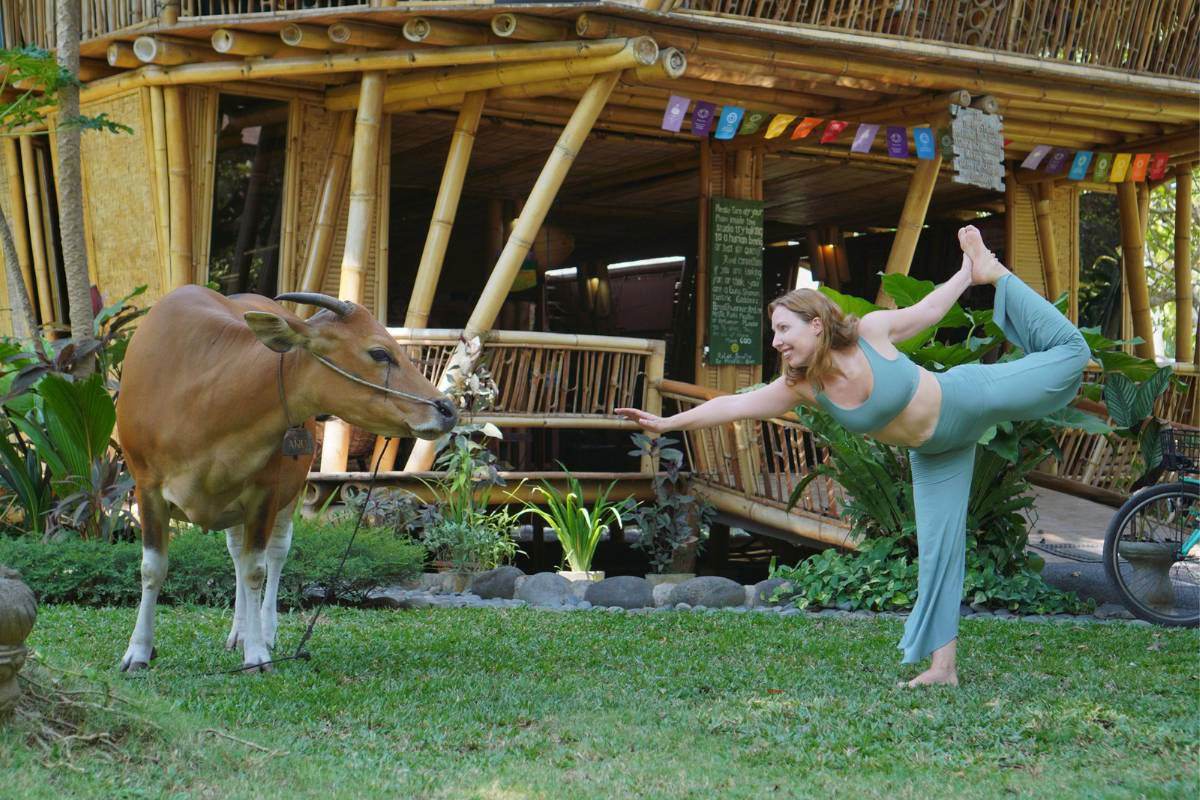 200-timers yogalæreruddannelse