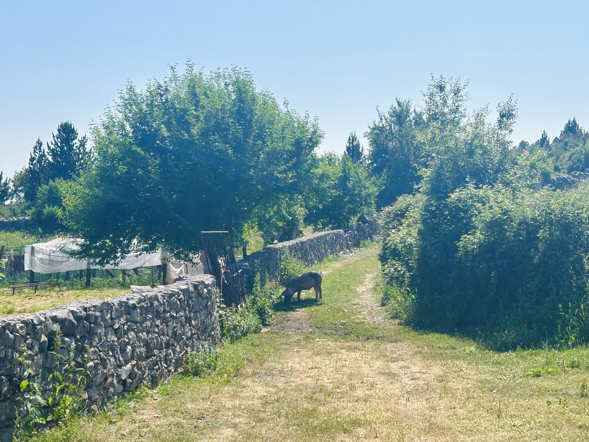 Razma bjerg-wellnessretreat for krop-sind-harmoni