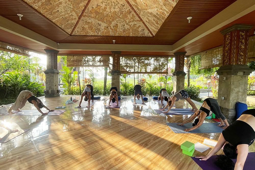 200 timers Ashtanga Vinyasa-yogalæreruddannelse på Bali