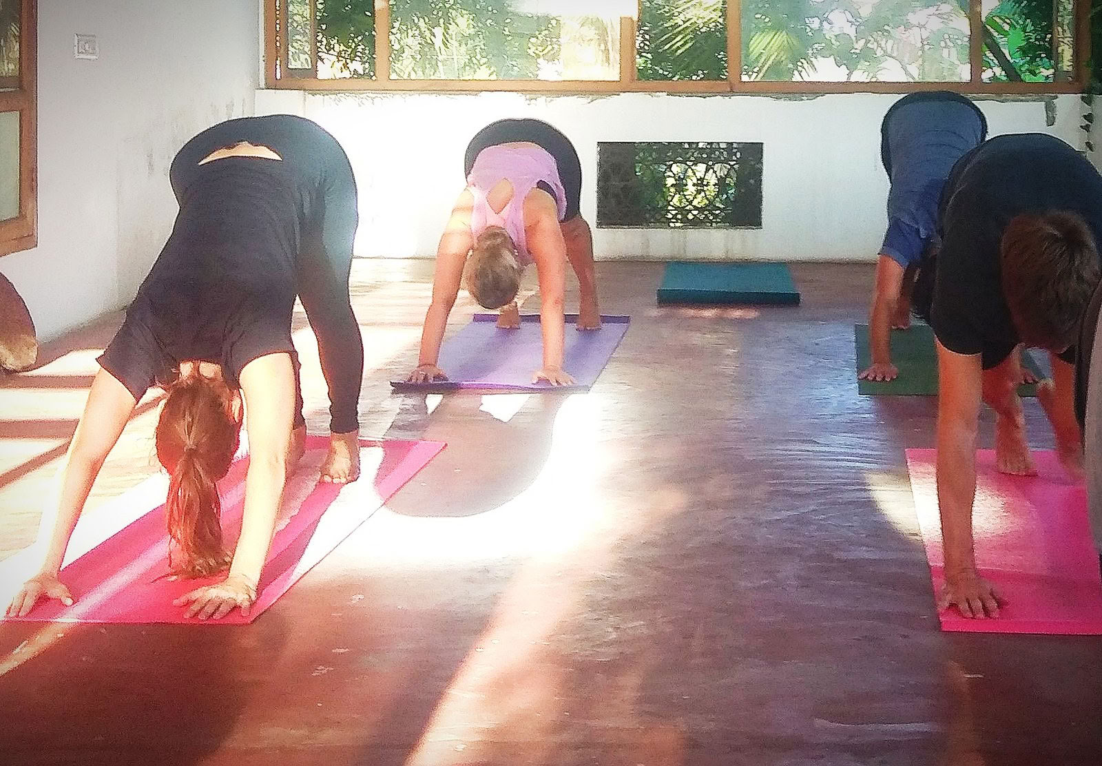 8-dages wellness-retreat ved stranden med ayurveda, yoga og zenmeditation i Alleppey, Kerala