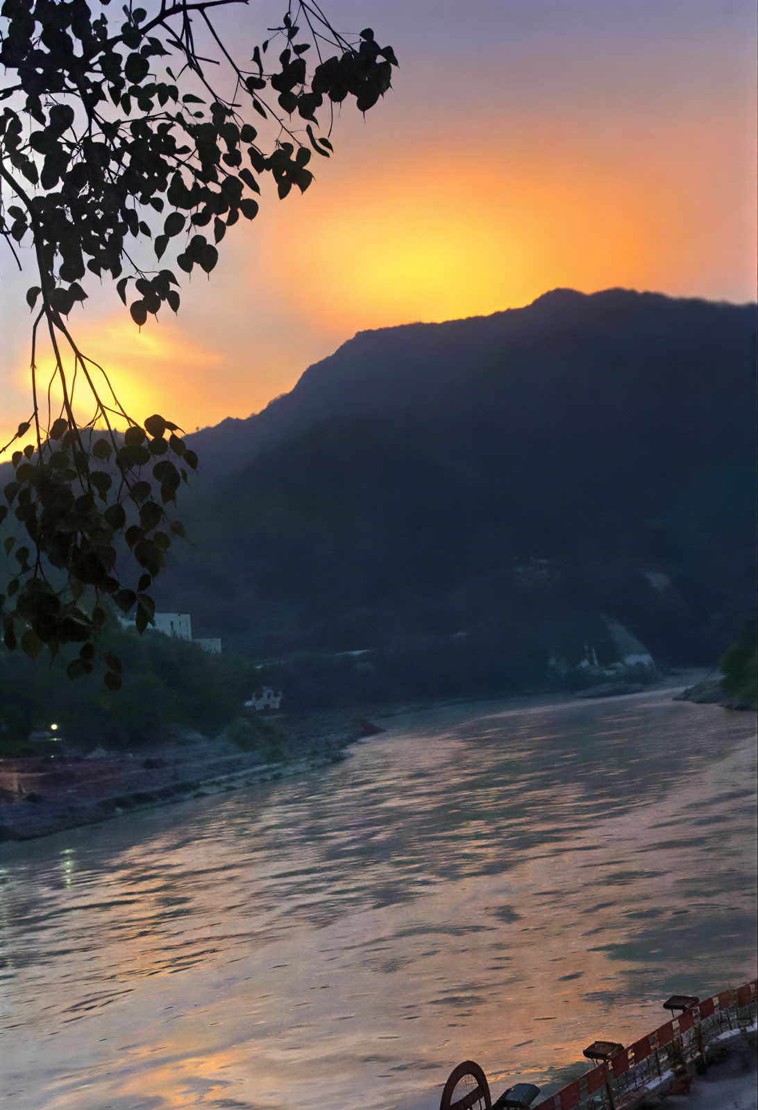 Ayurveda-kursus i Rishikesh
