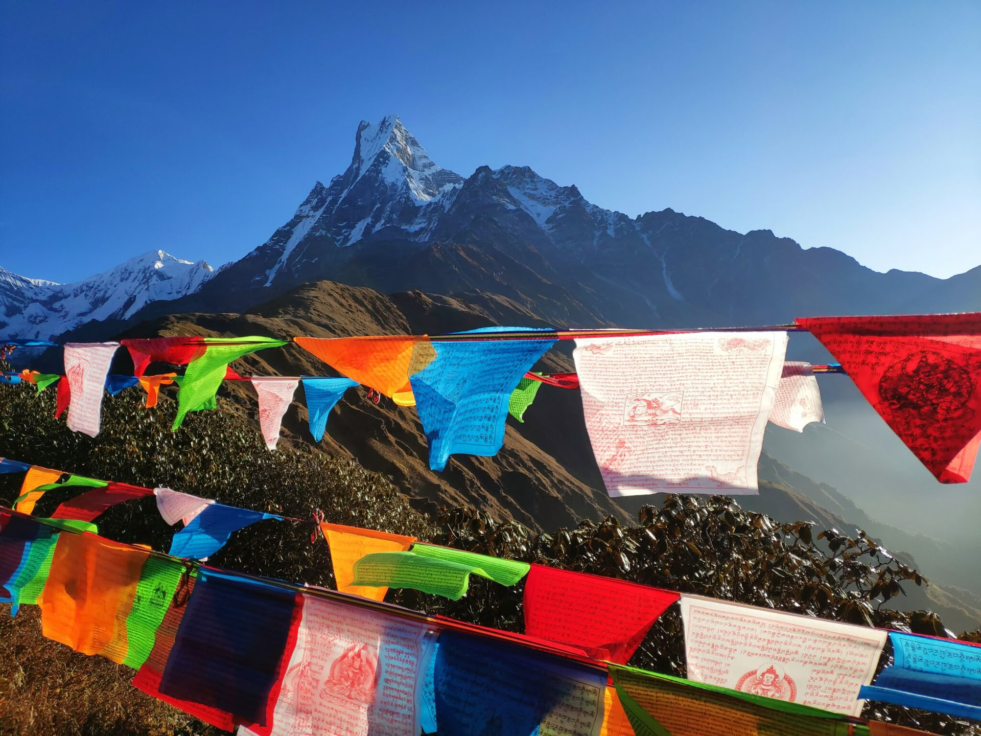200-timers yogalæreruddannelse i Indien