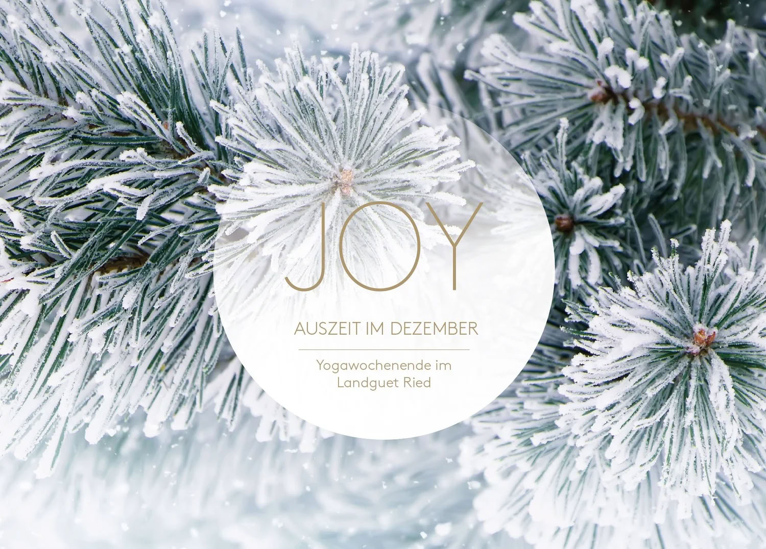 Yoga-pause i december | med Joy Yoga — Landguet Ried, center for mindful liv | retrætecenter & seminarhus