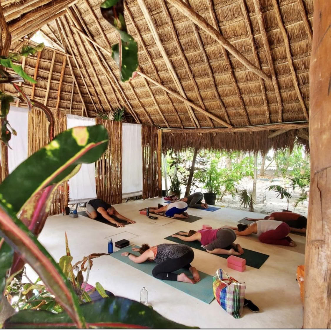 7-dages Ocean Flow Yoga- og meditationsretreat her og nu