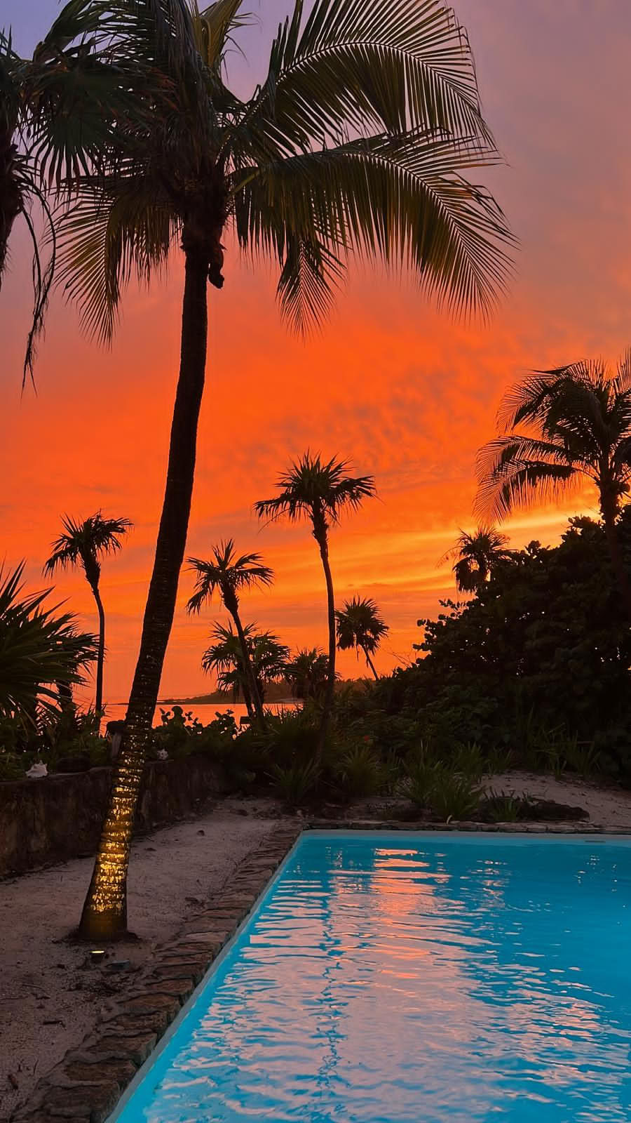 7-dages Pilates-retreat ved havet med cenote- og snorkeltur