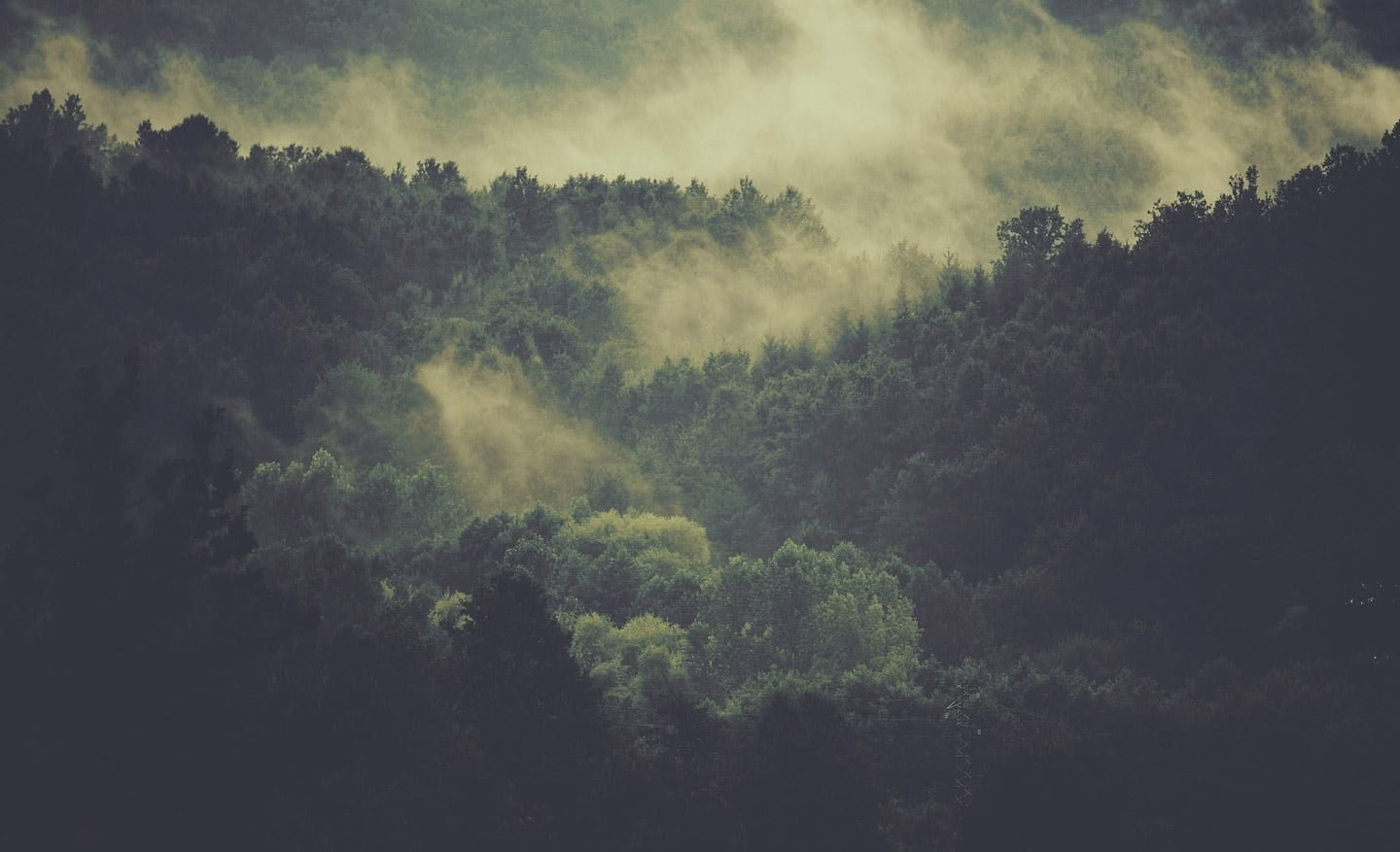 Lydhealer-læreruddannelseskursus i Rishikesh
